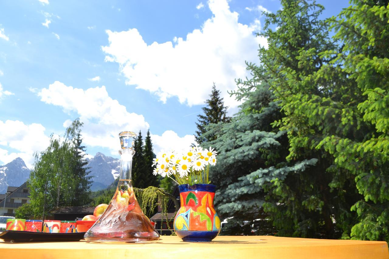 Apartments Vijolica Kranjska Gora Extérieur photo